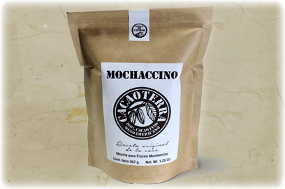 Frozen Mochaccino