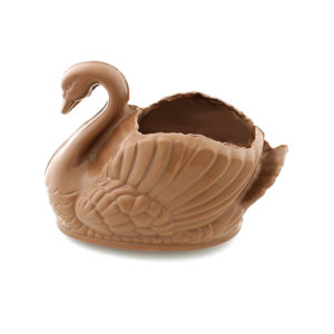 Cisne