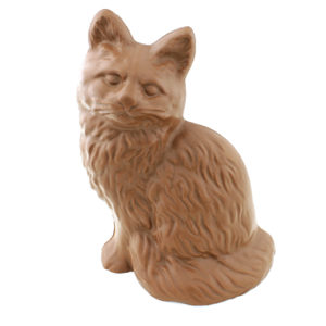 Gato