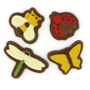 Set de insectos