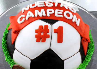 PADRE_0005_PELOTA