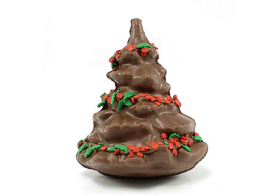 _0015_NAVIDAD-2020_2455