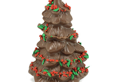 _0030_NAVIDAD-2020_0038