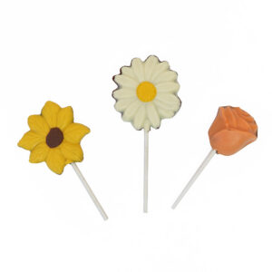 Paleta Mediana