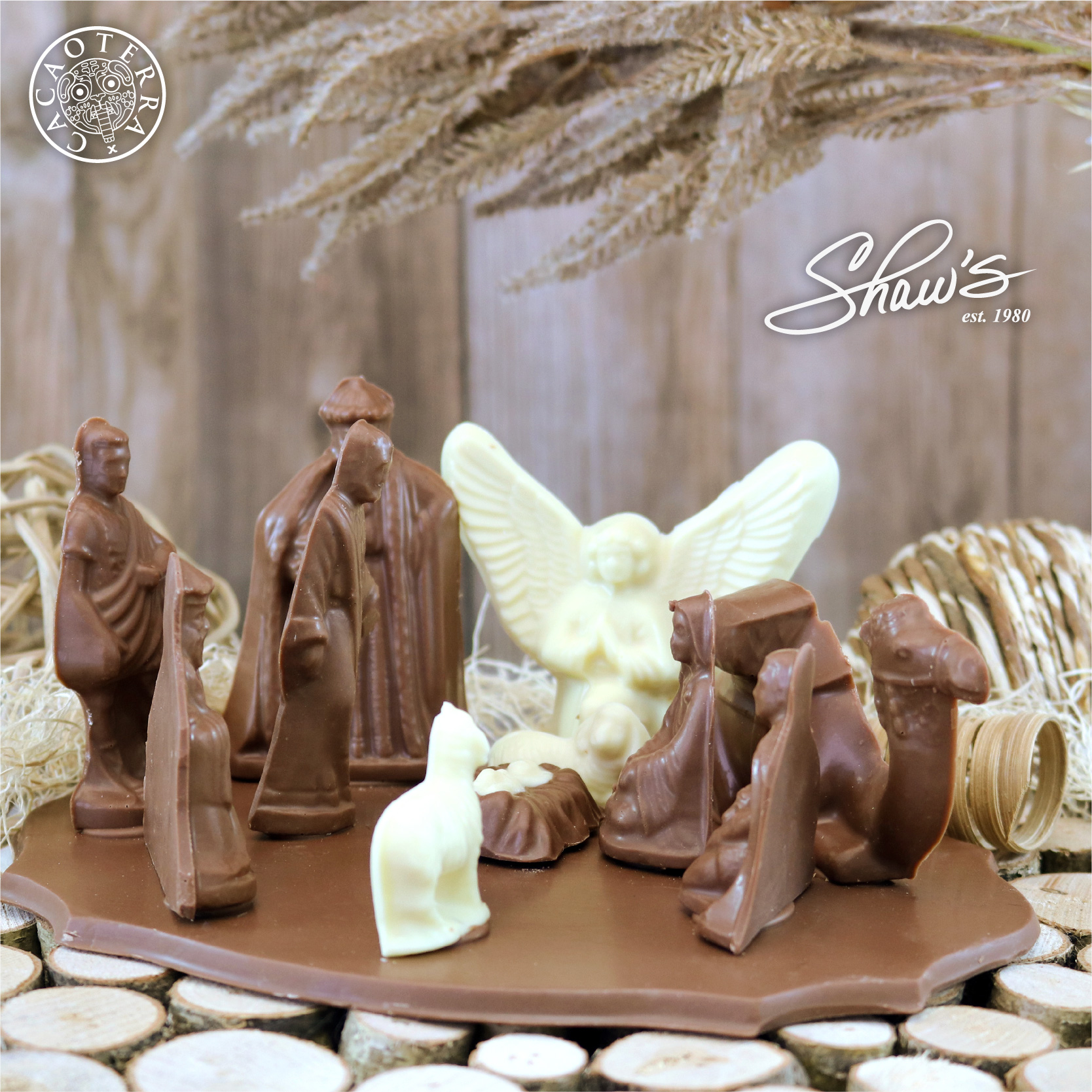 Nacimiento de niño Jesús
