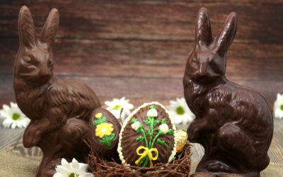 Bunny Darko