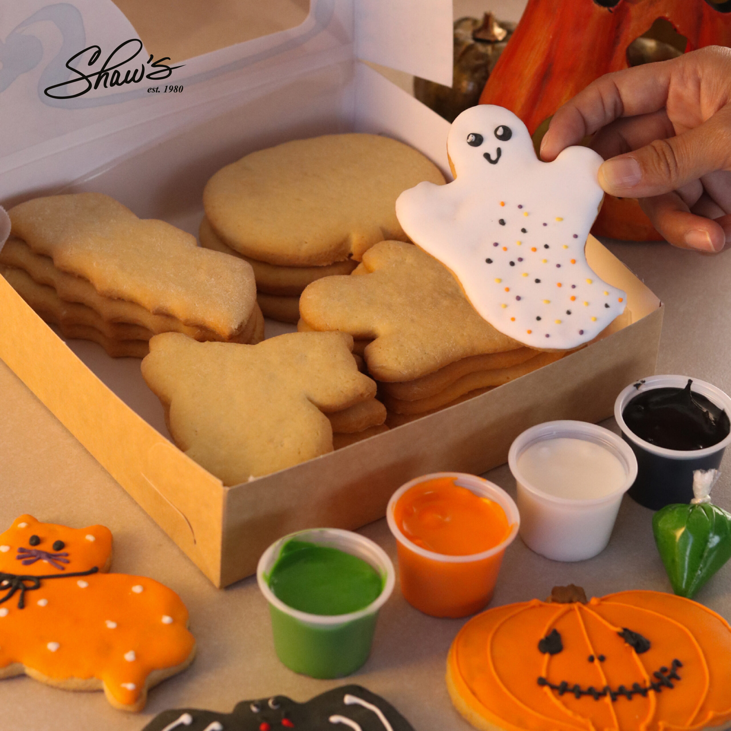 Kit Pinta Galletas Halloween Shaws