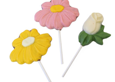 Paleta grande