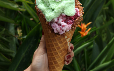 Gelato Romano – Menta Chip / Yogurt Frutas del Bosque