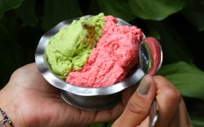 Gelato Romano – Pistachio y Fresa sin azúcar