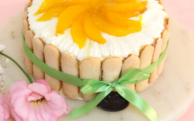 Mini Mango Charlotte