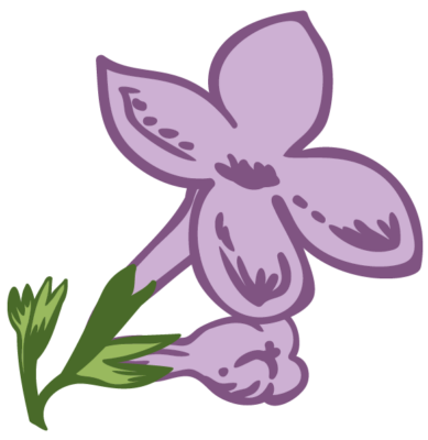 flor2_
