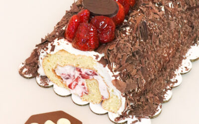 Brazo de Fresas con Chocolate Oscuro