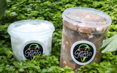 Gelato Romano to go!