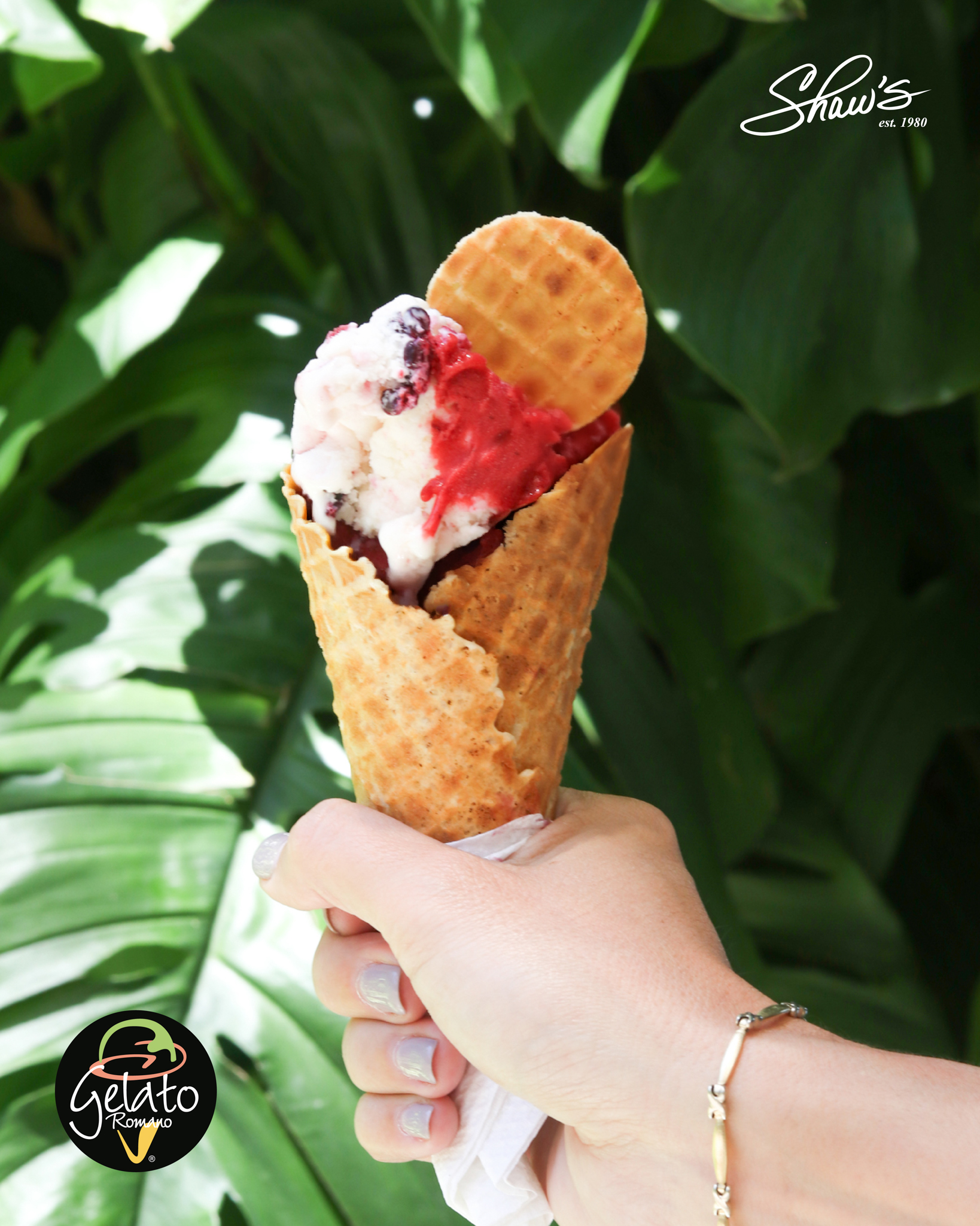 Yogurt Frutas del Bosque y Mora Lampone