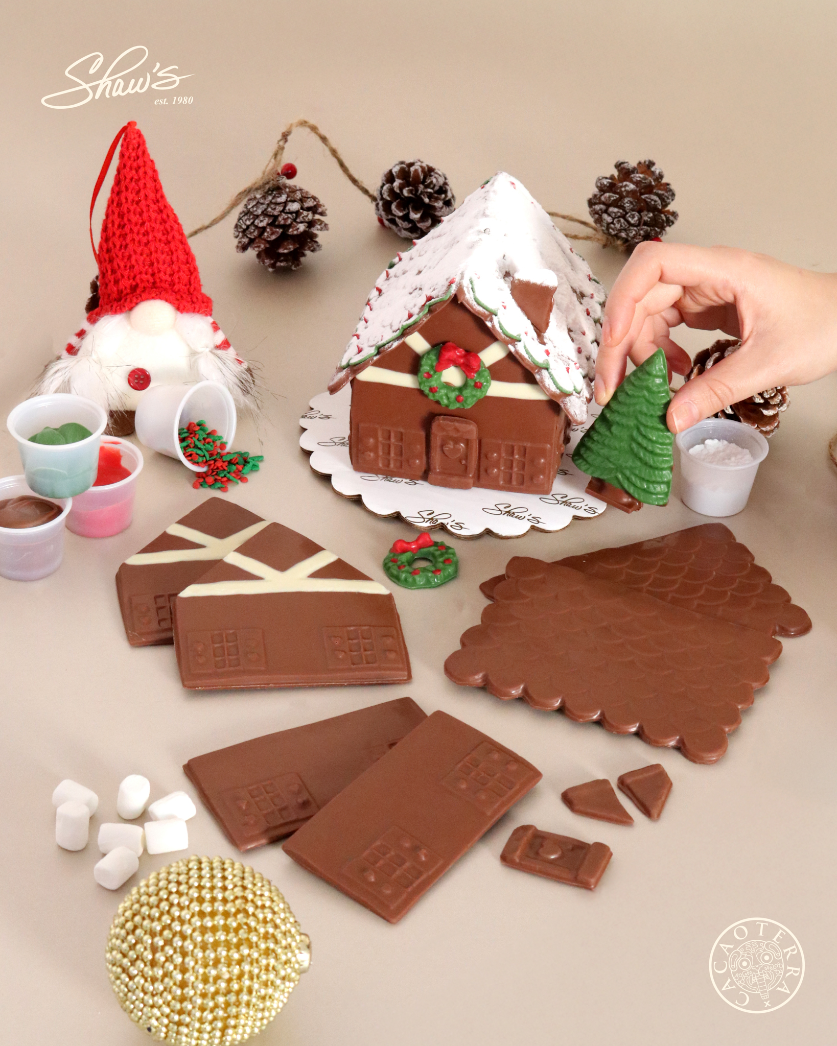 ¡Ya llegó la Navidad en Shaw’s!