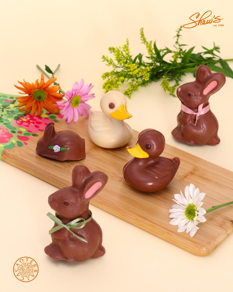 Más que un chocolate, ¡es una sorpresa! 🥕🍫