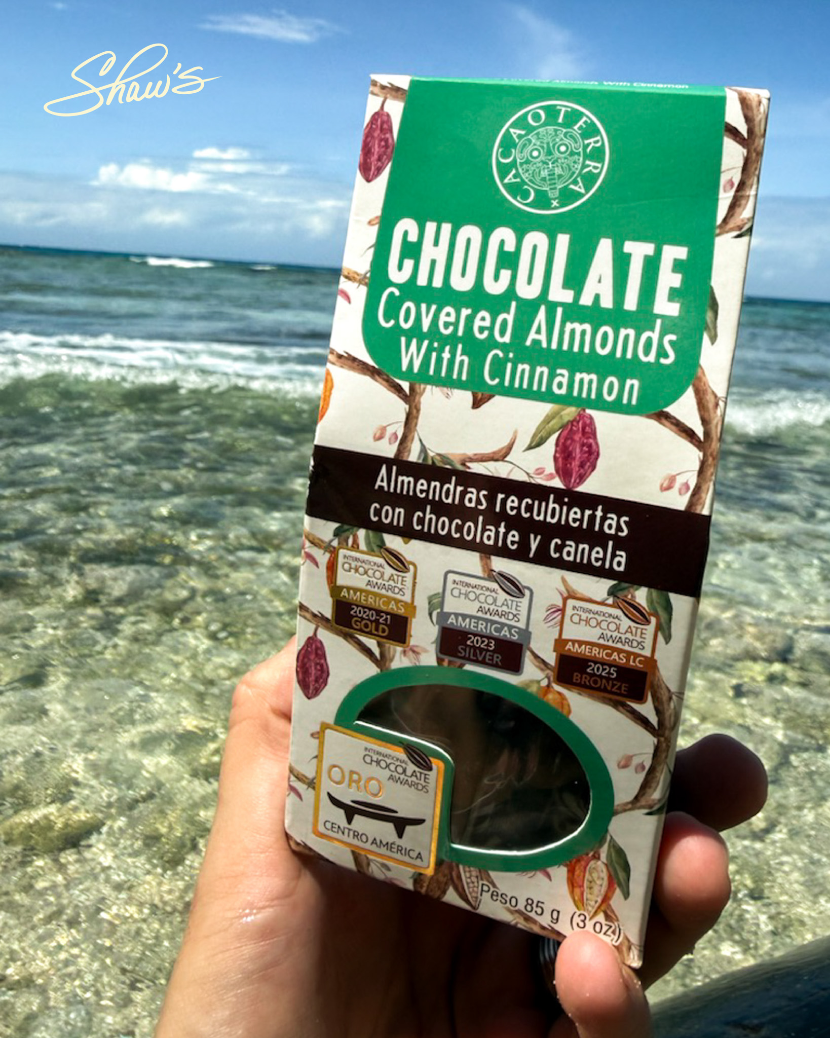Chocolate covered Almonds with Cinnamon